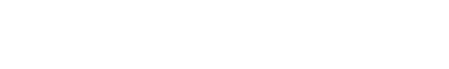 Cees-jan van den dool CEO Dool industries