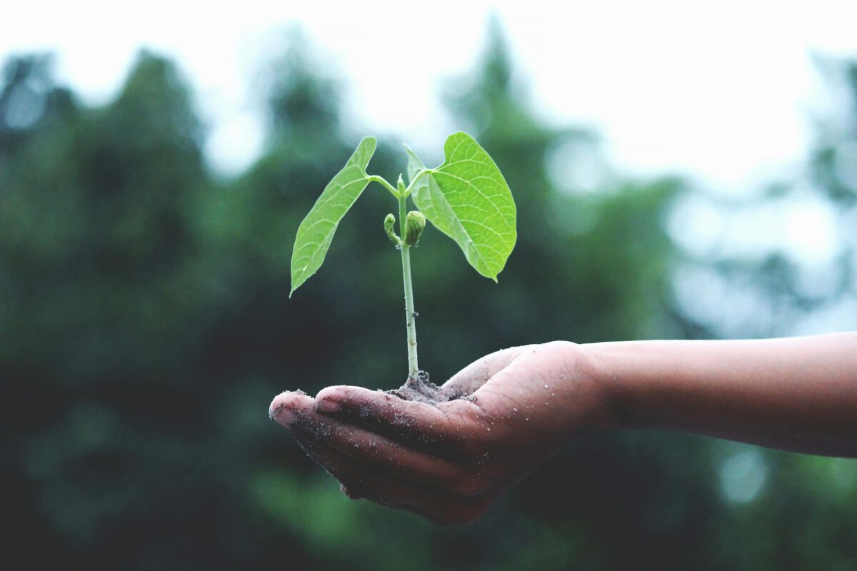 Invoering van een energiemanagementsysteem 1