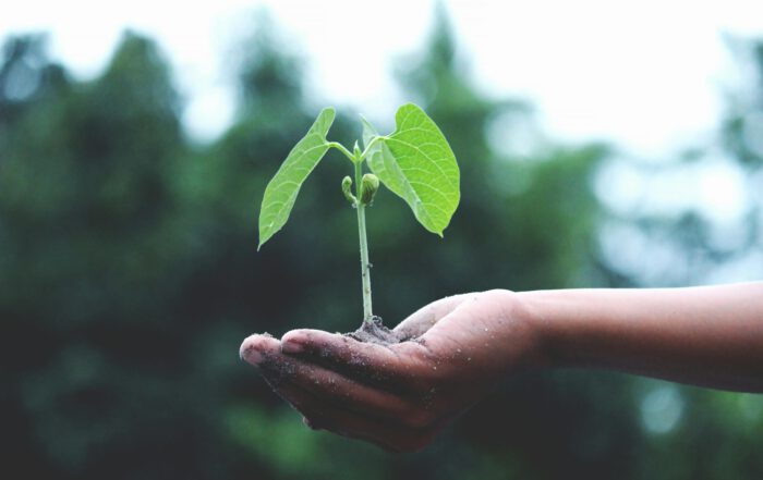 Invoering van een energiemanagementsysteem